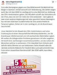 BSW Offenbarung - Höcke Angebot - Aufbruch zu neuen Ufern - Brandmauer ade - ODER - doch nur Mehrheitsverhinderer
