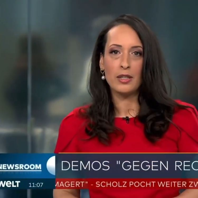 Staatlich finanzierte NGOs als Stützen der Regierung