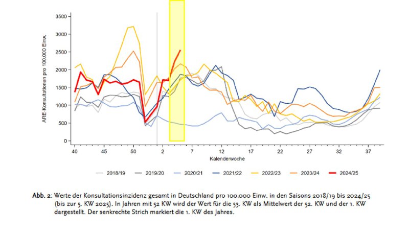 RKI AG Influenza Höchststand Atemwegserkrankungen