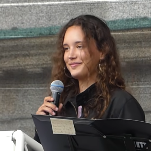 Karla Wolf - Schülerproteste gegen Wehrpflicht